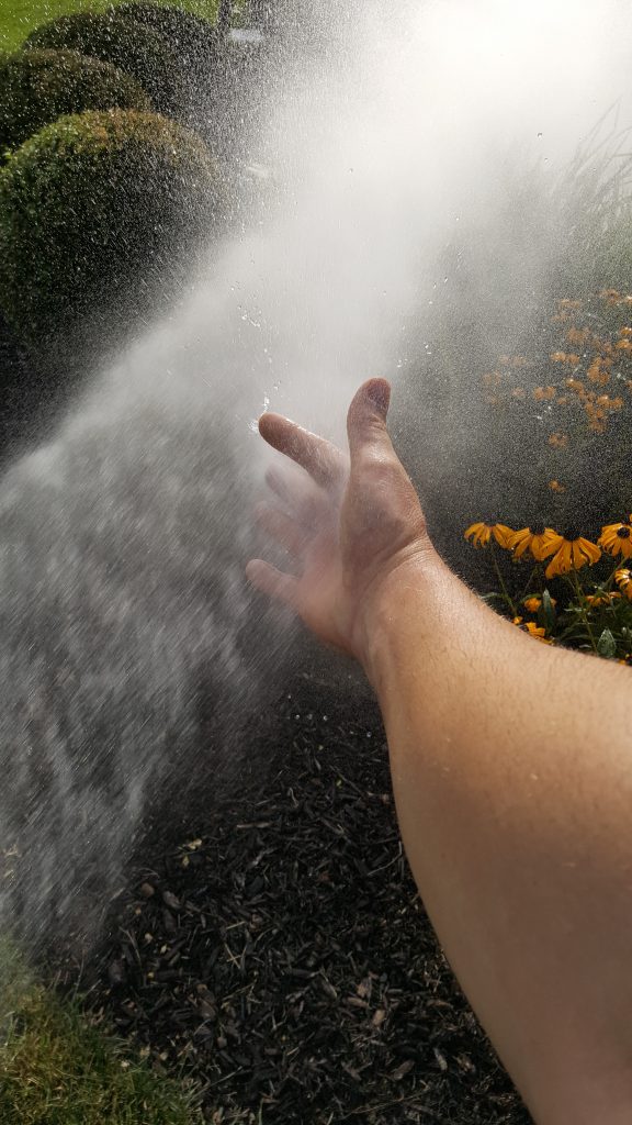 Clean the Roof - Water and Hand