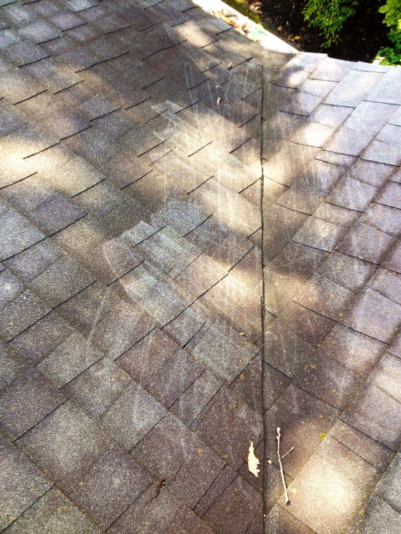 Cedar Roof Cleaning