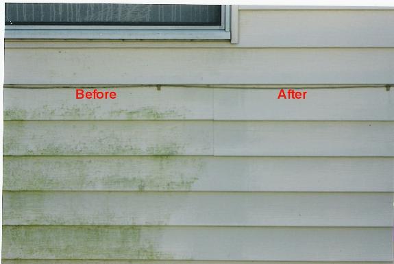 REMOVING ALGAE STAINS FROM VINYL SIDING. The stains must be treated with a professional cleaners solution that will eliminate the spores.