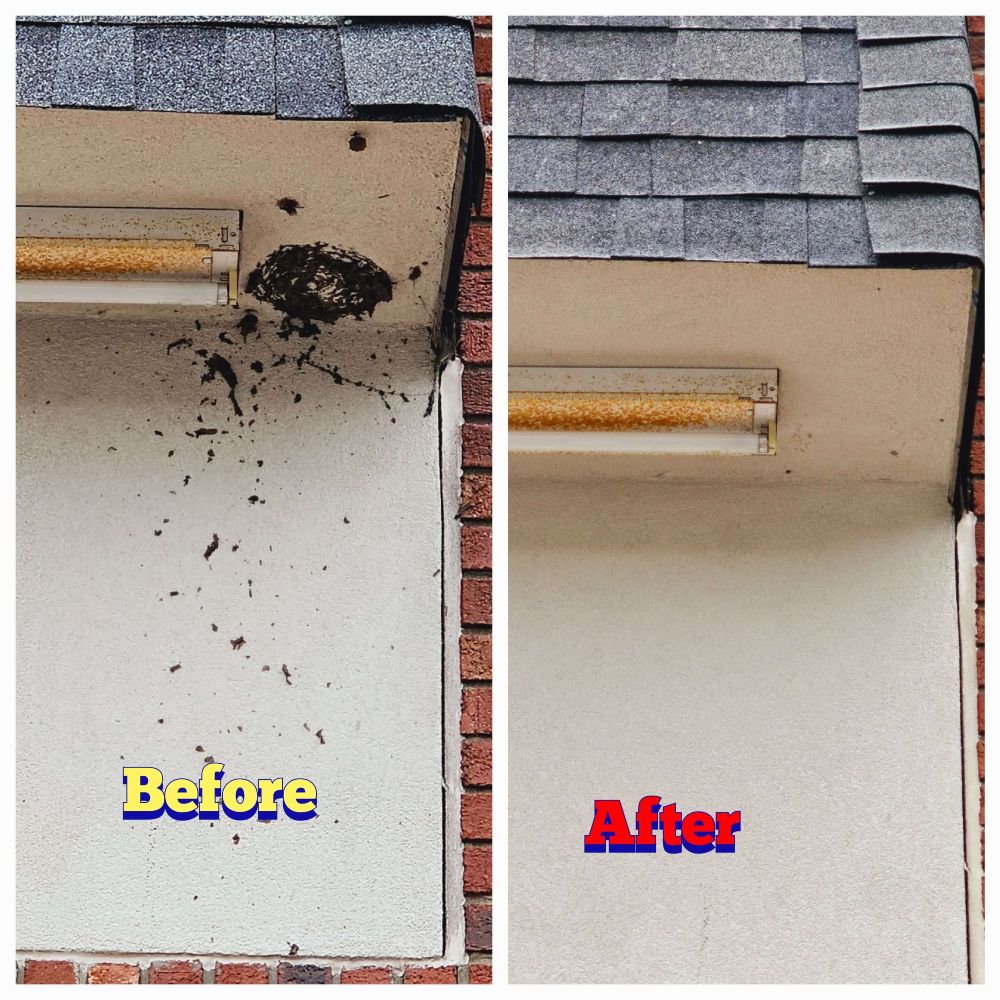 before and after of bees nests removal on a white wall 
